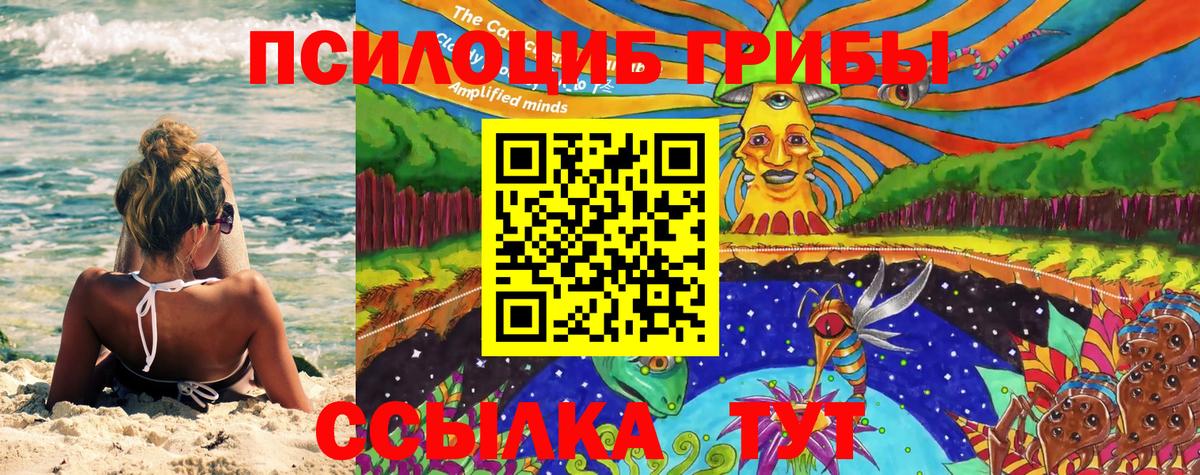 Галлюциногенные грибы Psilocybe  Вход с VPN  Владивосток 