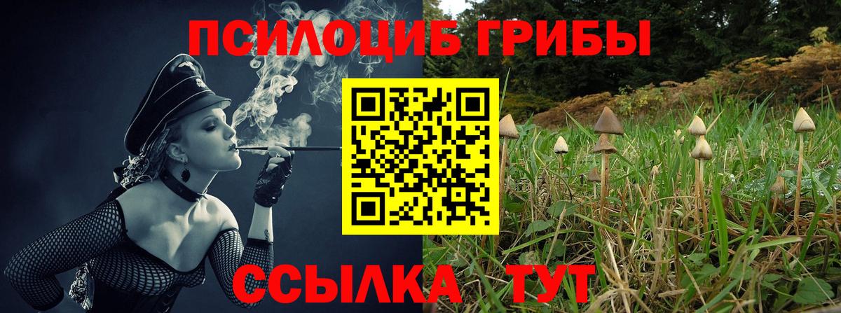 Псилоцибиновые грибы ЛСД Владивосток